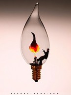 1er-montage-integration-vignette