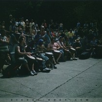Tams Tams - Polaroid 06
