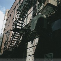 Batisse Polaroid